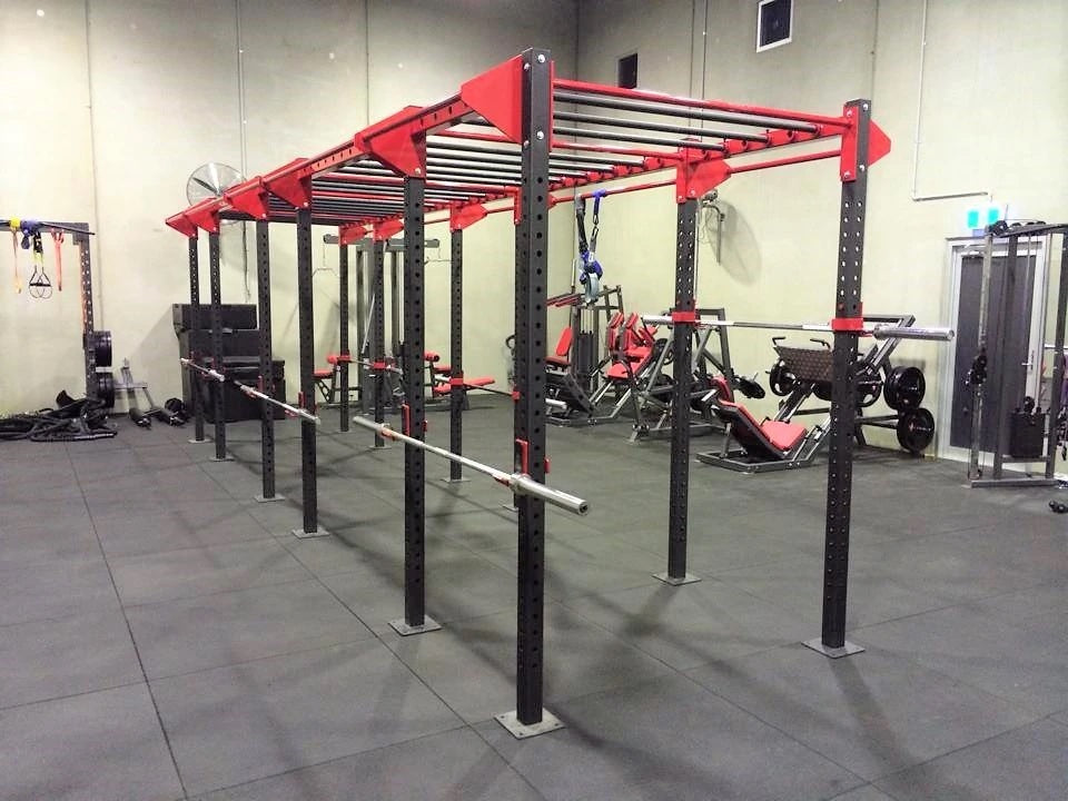 USA Fitness Monkey Bar Rigs