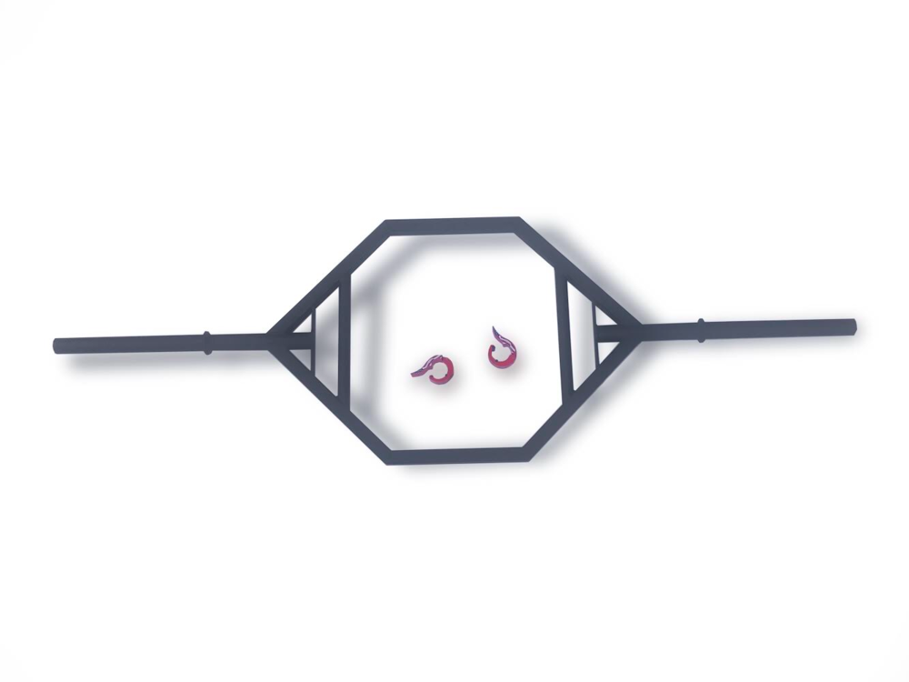 ACFT Hex Bar w Collars