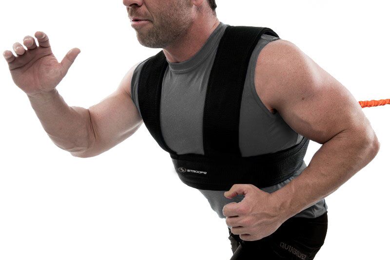 Shoulder Harness
